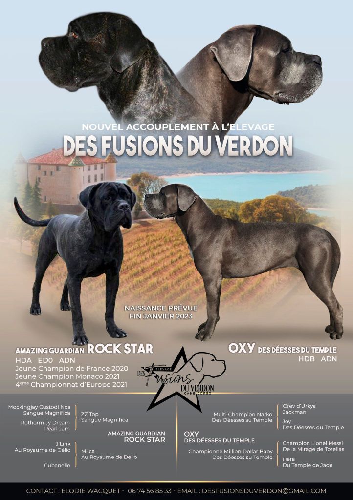 Des Fusions Du Verdon - PORTEE 2023 OXY DES DEESSES DU TEMPLE x AMAZING GUARDIAN ROCK STAR